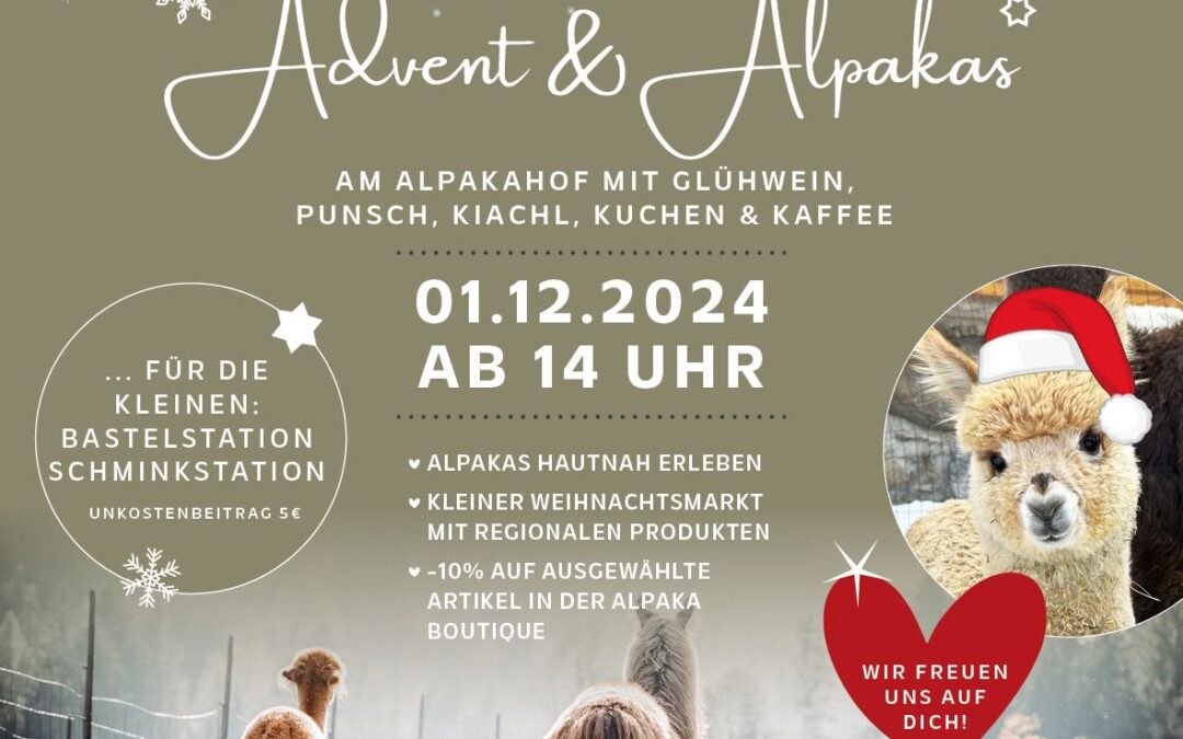 Advent & Alpakas